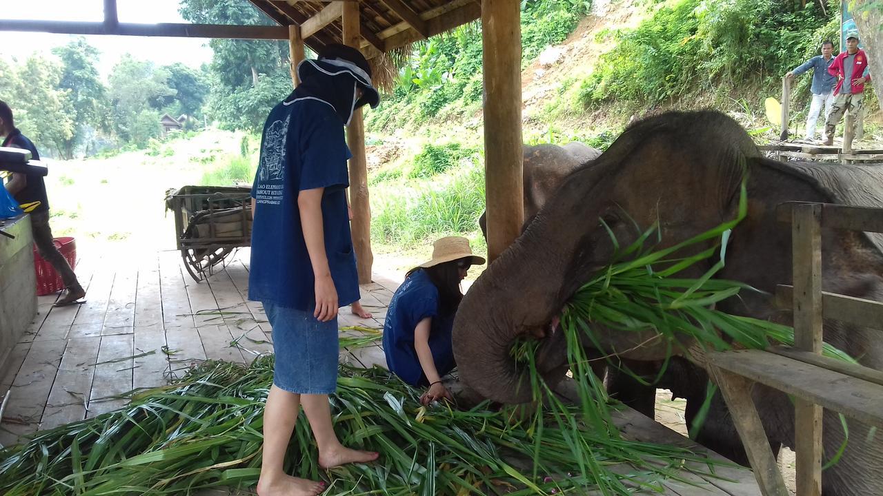 Mahout Hotel Luang Prabang Dış mekan fotoğraf